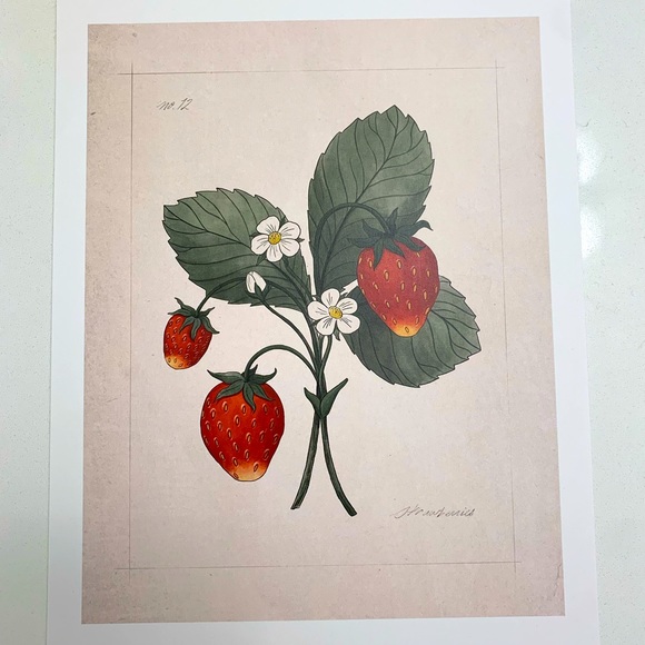 Jilly Box - Wild Strawberry Print - Picture 2 of 2